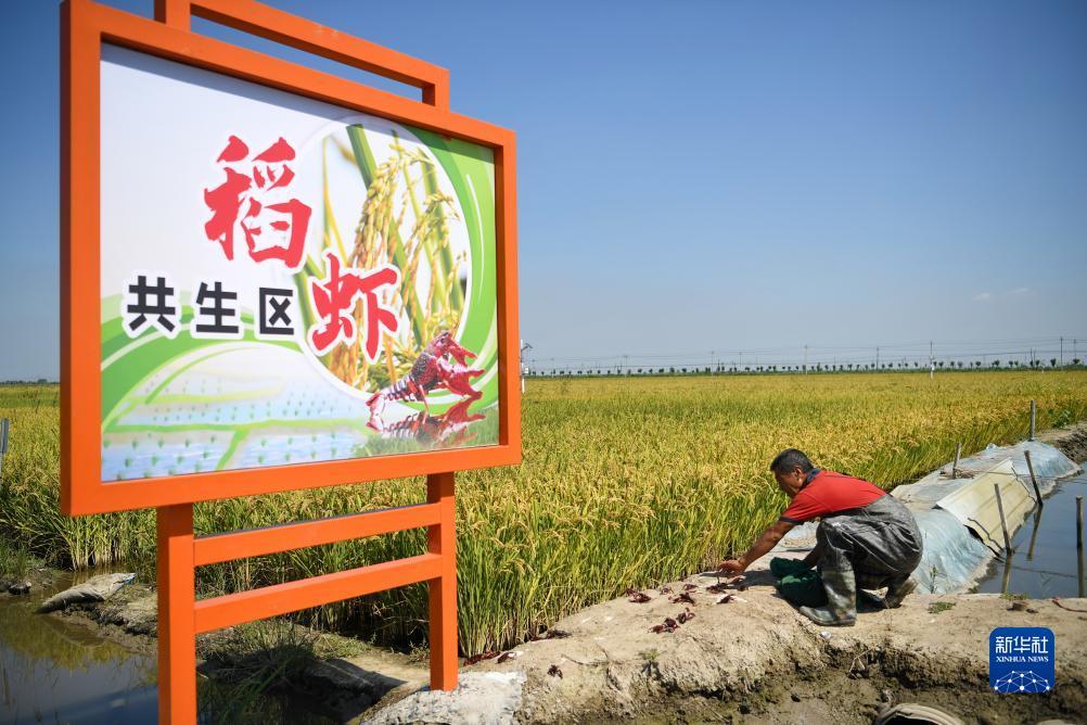 永利网是做什么的